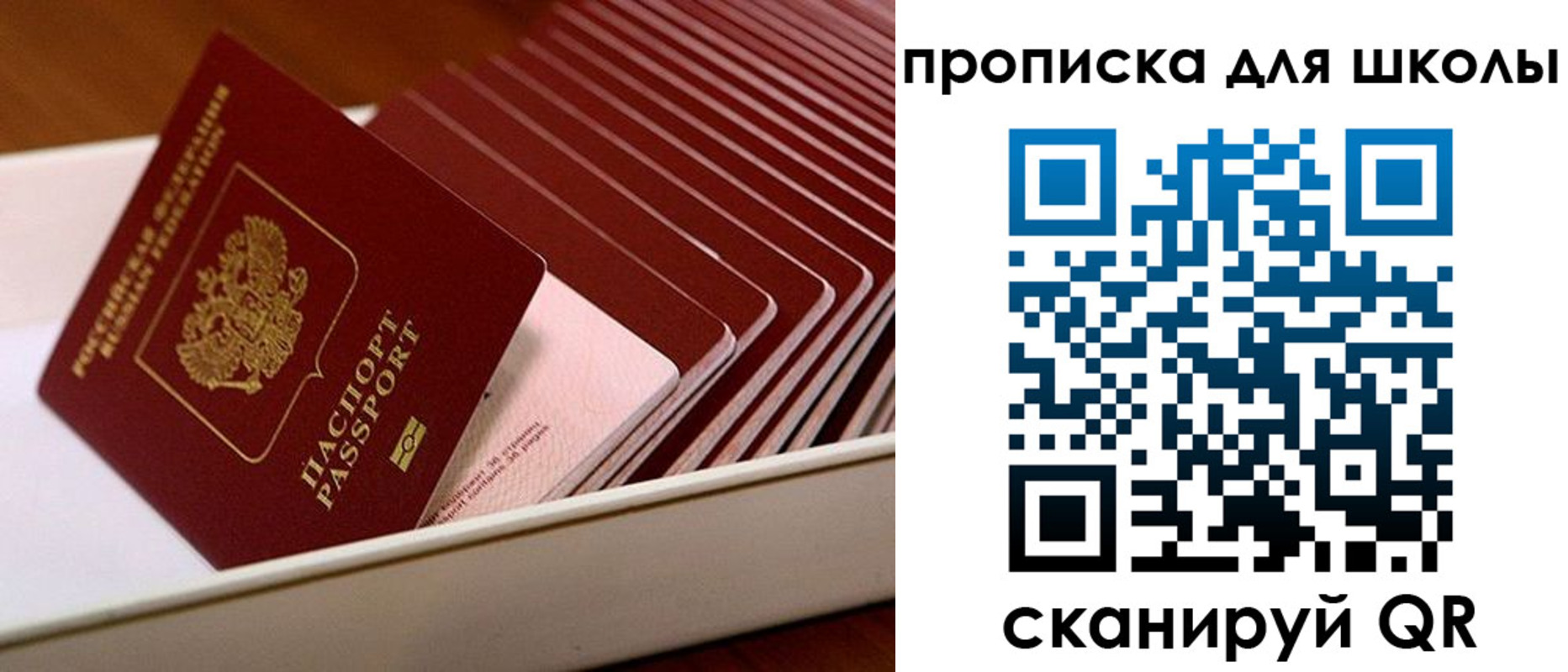 временная регистрация гарантия в Ивантеевке